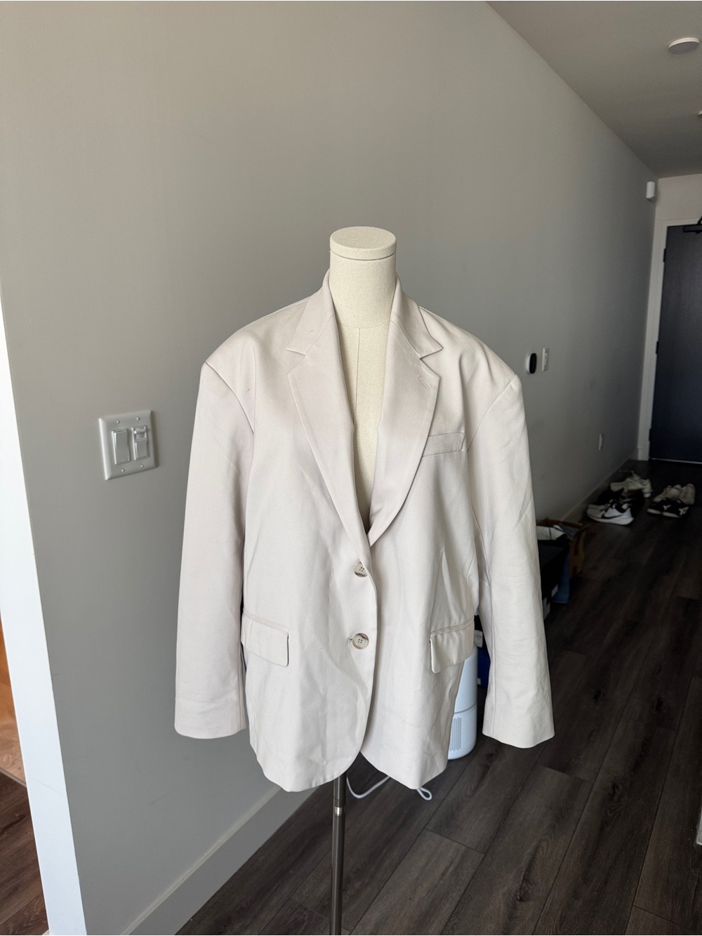 Aritzia Vogue Oversized Blazer